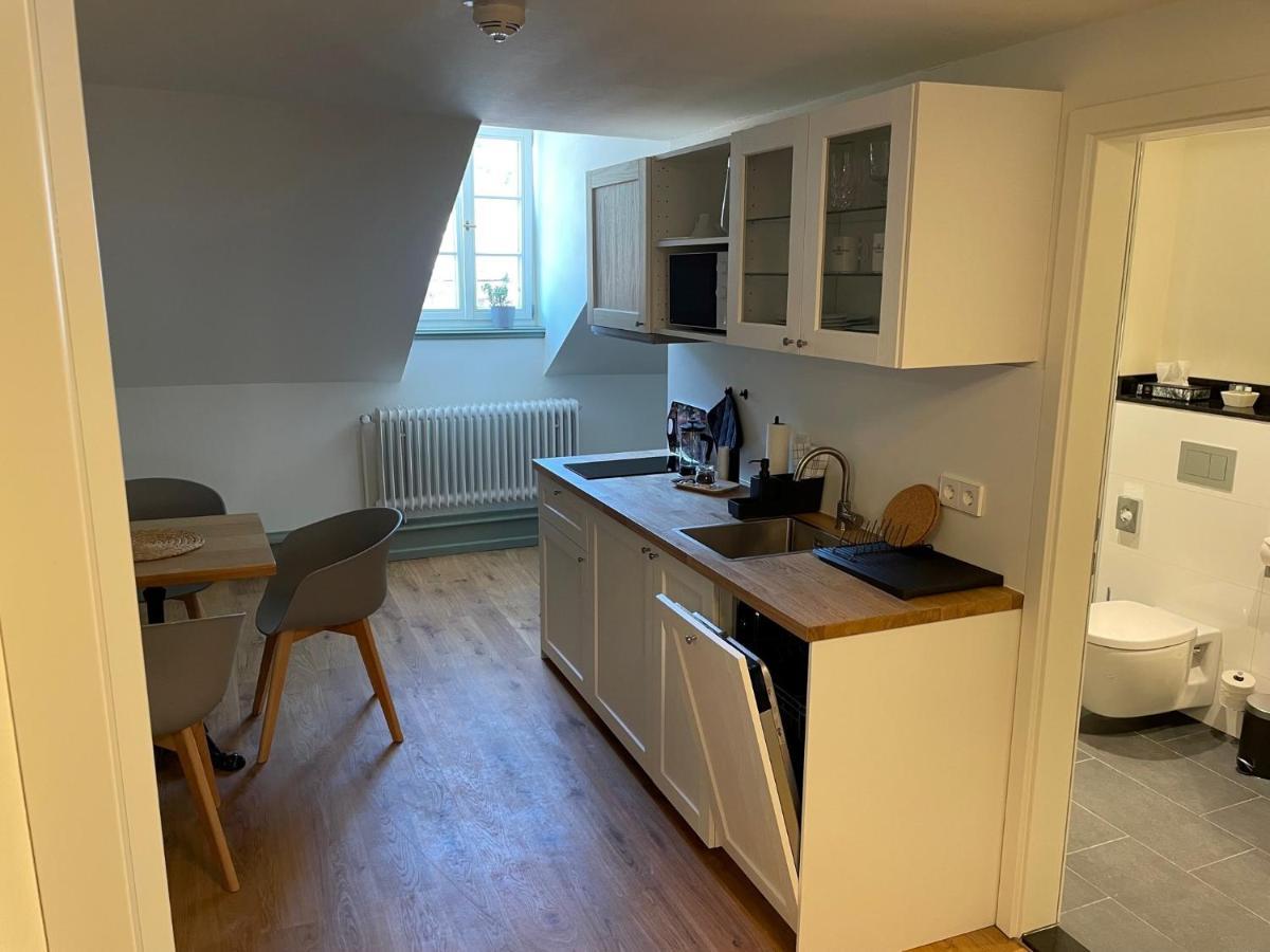 Palmbraeu Altstadt Appartments Χαϊδελβέργη Εξωτερικό φωτογραφία